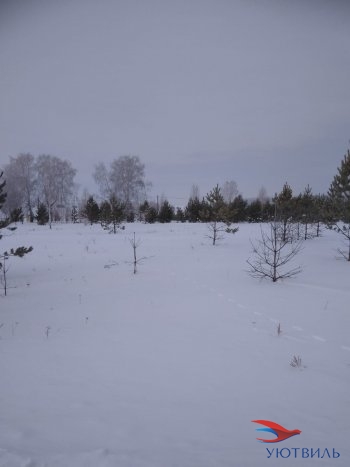 Земельный участок поселок Баженово в Серпухове - serpuhov.yutvil.ru - фото 2 Земельный участок поселок Баженово в Серпухове - serpuhov.yutvil.ru - фото 2