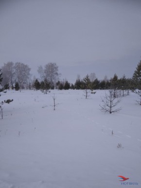 Баженово ул Южная д 7 в Серпухове - serpuhov.yutvil.ru - фото 2 Баженово ул Южная д 7 в Серпухове - serpuhov.yutvil.ru - фото 2