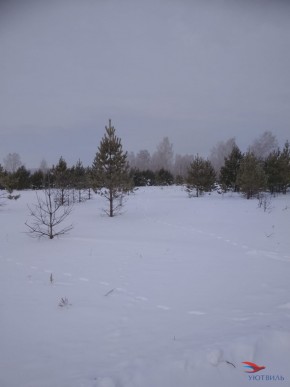 Баженово ул Южная д 7 в Серпухове - serpuhov.yutvil.ru - фото 5 Баженово ул Южная д 7 в Серпухове - serpuhov.yutvil.ru - фото 5