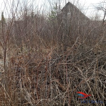 садовый участок в Дуброво-1 в Серпухове - serpuhov.yutvil.ru - фото 3 садовый участок в Дуброво-1 в Серпухове - serpuhov.yutvil.ru - фото 3