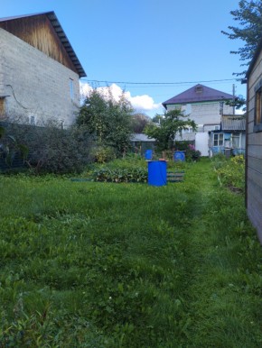 Коллективный сад номер 7, участок 58 в Серпухове - serpuhov.yutvil.ru - фото 26 Коллективный сад номер 7, участок 58 в Серпухове - serpuhov.yutvil.ru - фото 26
