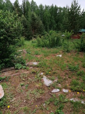 СТН Семья №112, Верхняя пышма на землях бывшего подсобного хозяйтва верхнепышминского опытного завода в Серпухове - serpuhov.yutvil.ru - фото 17 СТН Семья №112, Верхняя пышма на землях бывшего подсобного хозяйтва верхнепышминского опытного завода в Серпухове - serpuhov.yutvil.ru - фото 17
